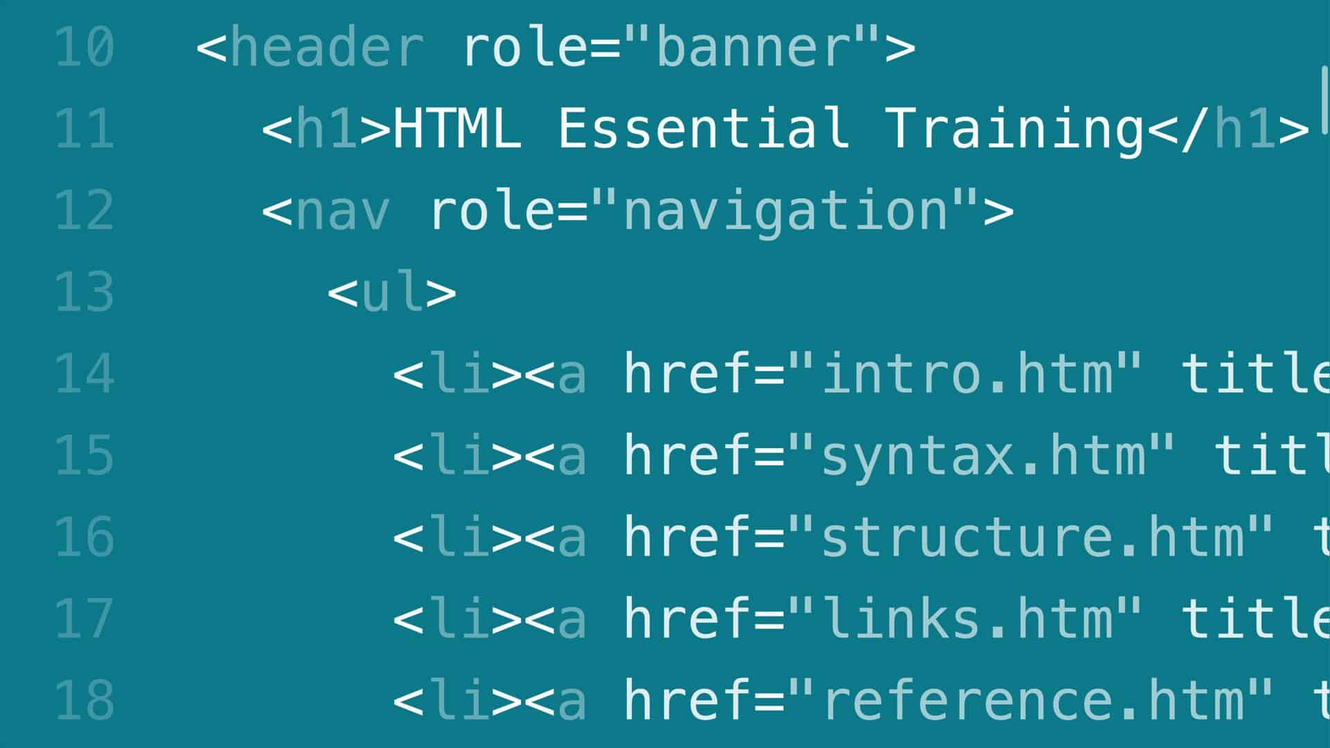 HTML代码
