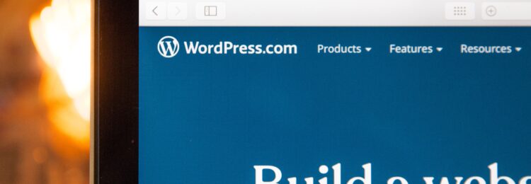 如何在 WordPress 中添加元标记