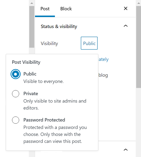 如何发表一篇关于 wordpress 可见性的文章