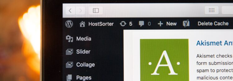 如何在 WordPress 上发表文章？ 分步指南