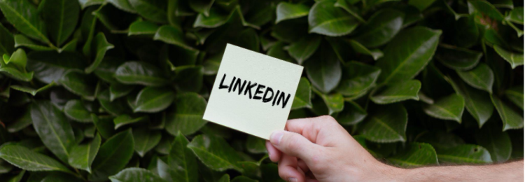 LinkedIn 广告 – 它是如何运作的以及如何定位您的潜在客户