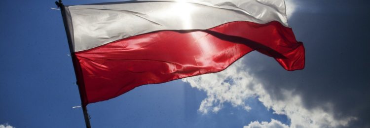 波兰的 SEO – 波兰市场的搜索引擎优化
